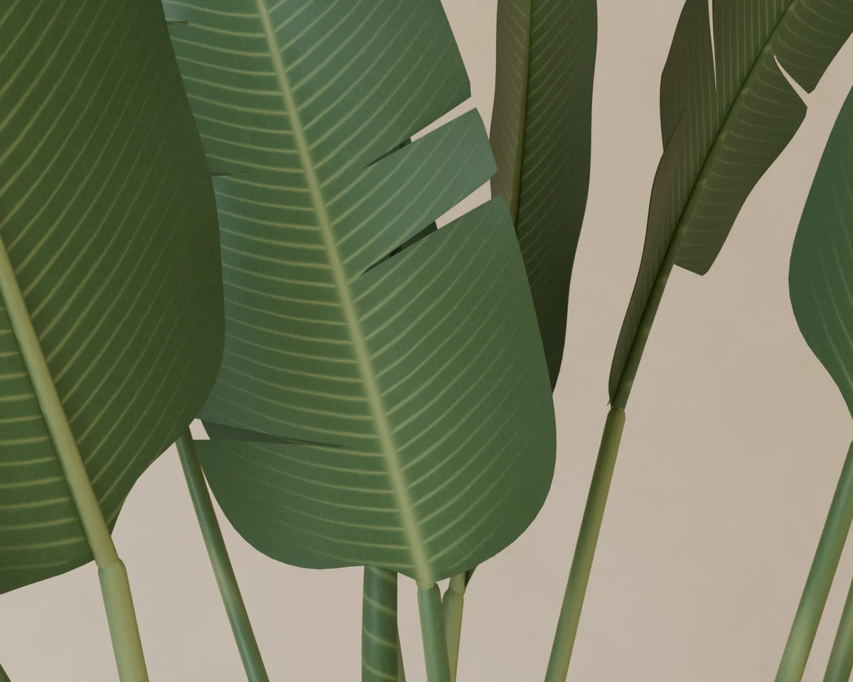 Bird of Paradise in Planter, close-up detail render