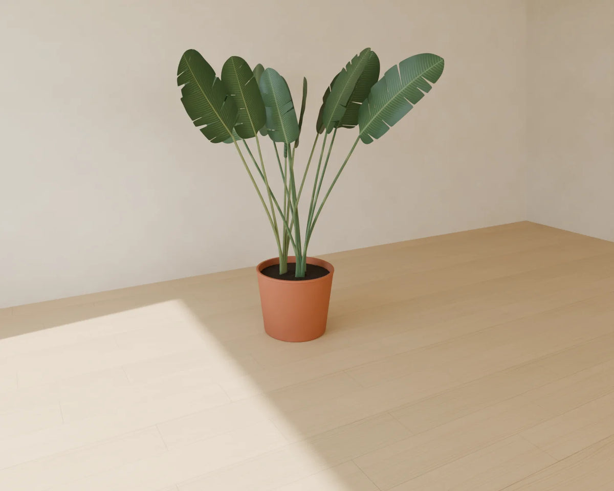 Bird of Paradise in Planter, Linden House 3D asset, studio render