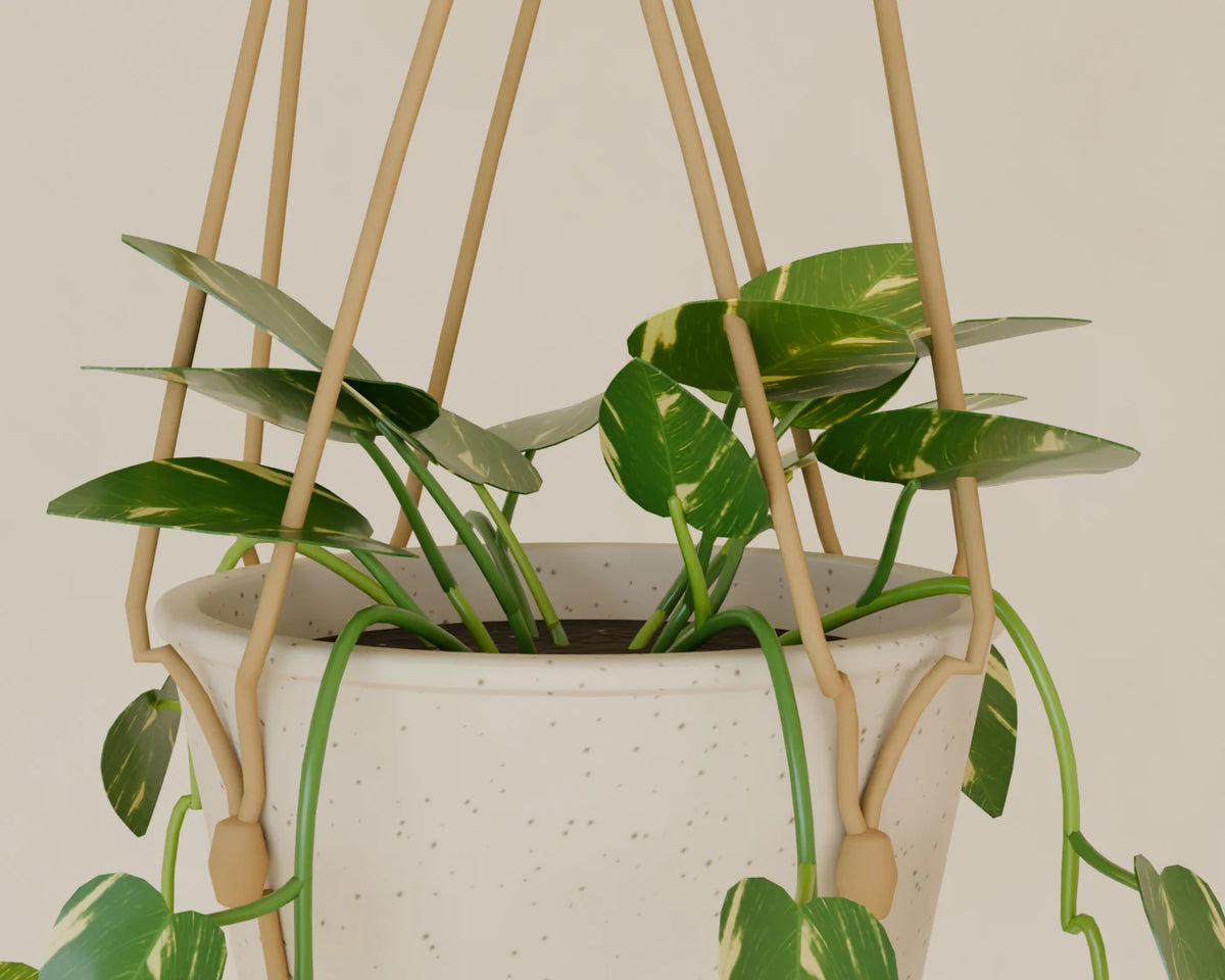 Hanging Macrame Planter, close-up detail render