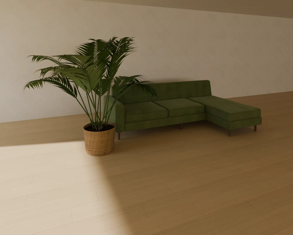 Kentia Palm in Planter styled in a Linden House room with the chaise sofa (sold separately)