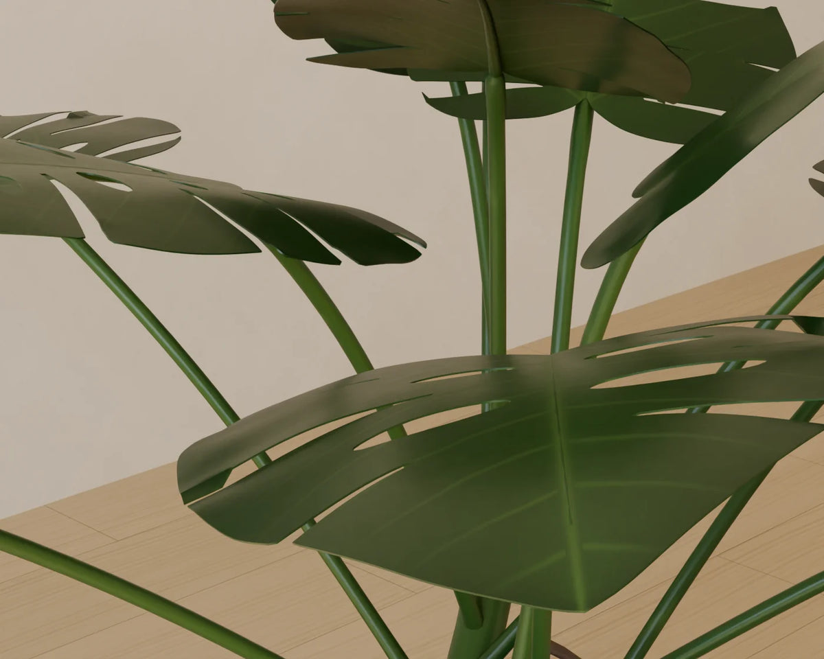 Monstera in Planter, close-up detail render