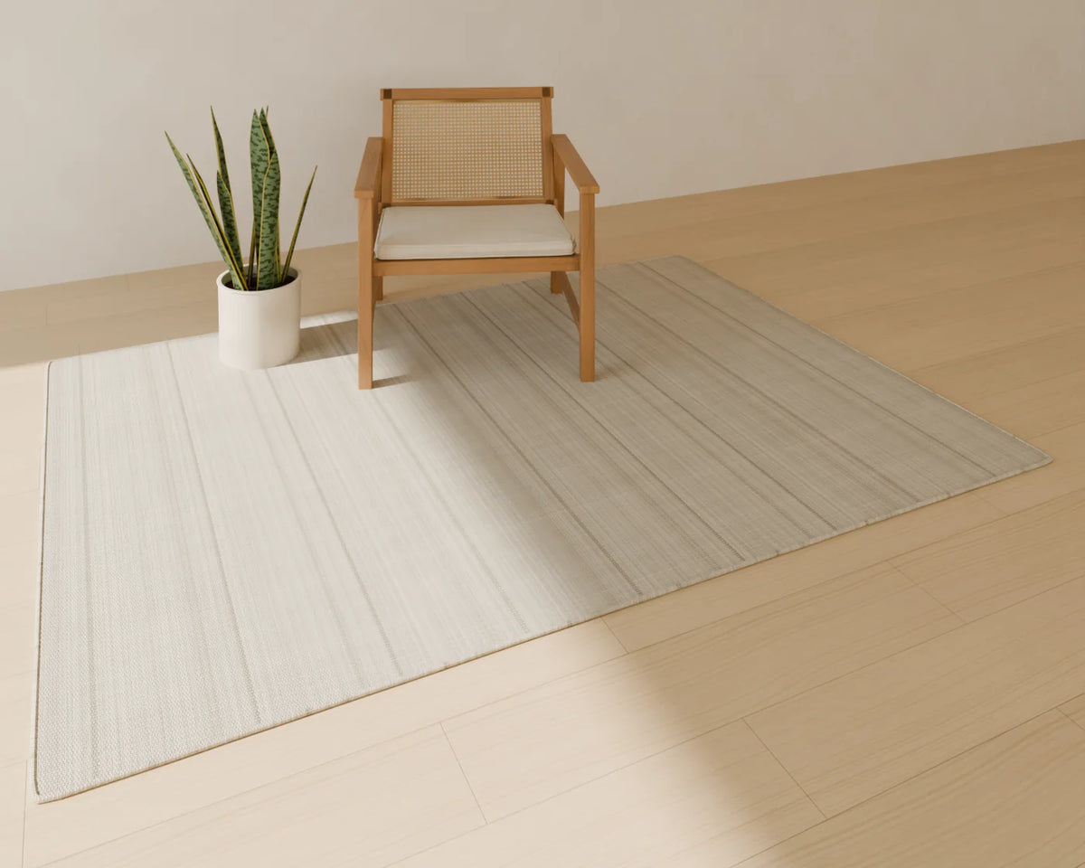Snake Plant in Planter styled in a Linden House room with the cane lounge chair and flatweave wool rug (sold separately)