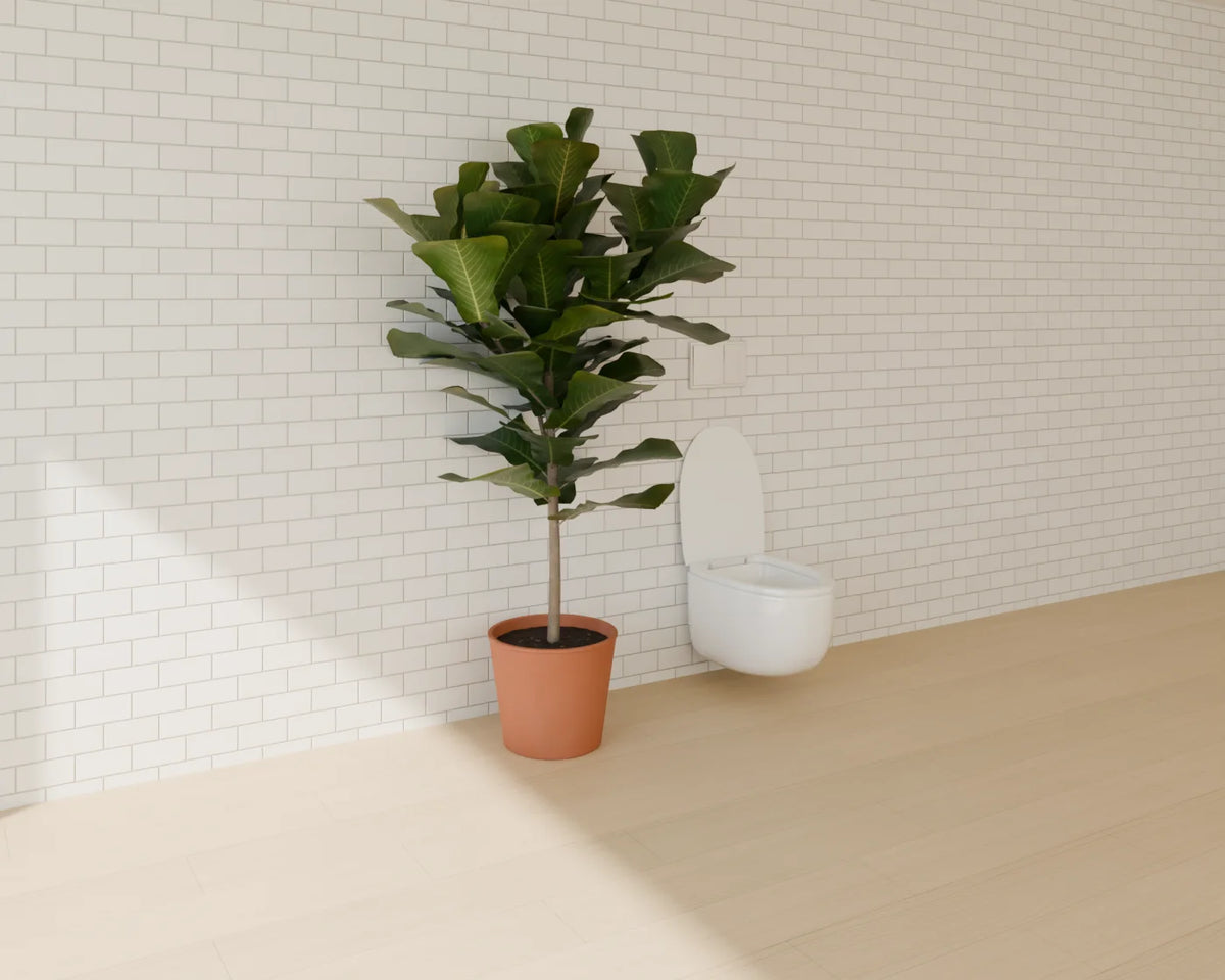 Wall-Hung Toilet styled in a Linden House room with the fiddle-leaf fig in planter (sold separately)