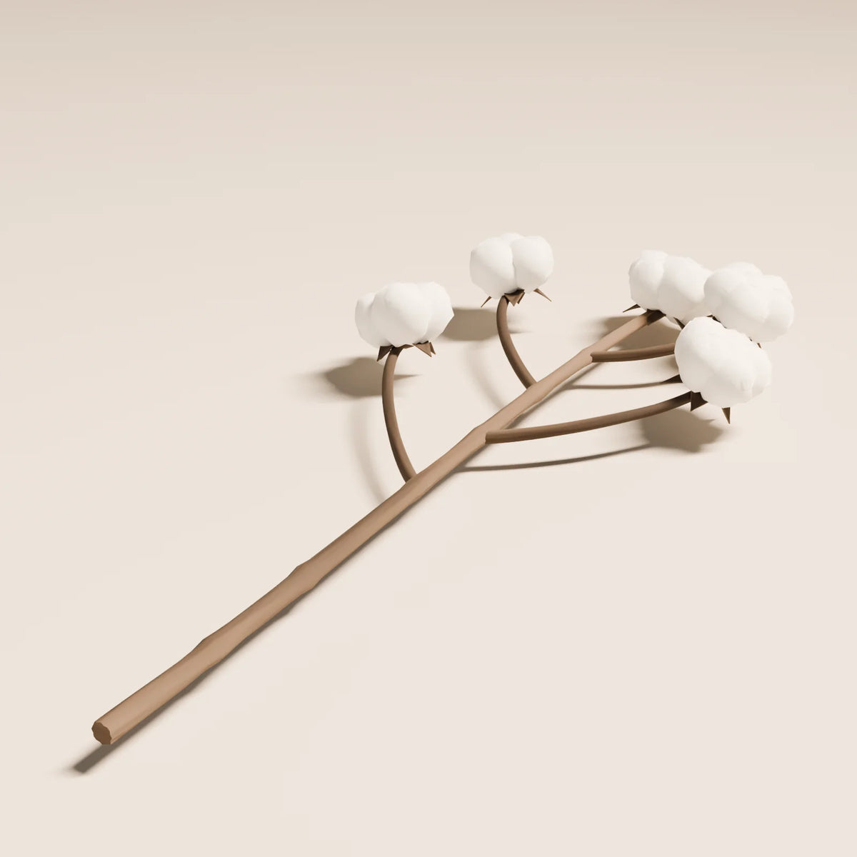 Cotton Stem, close-up detail render
