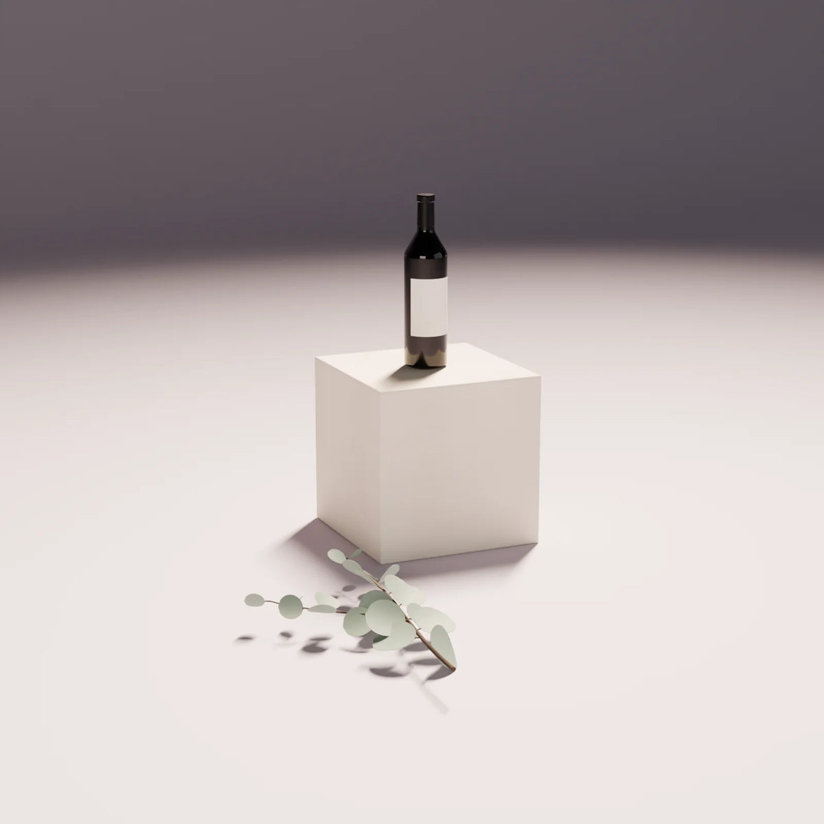 Eucalyptus Branch styled in a Still Studio set with the block plinth and wine bottle (sold separately)