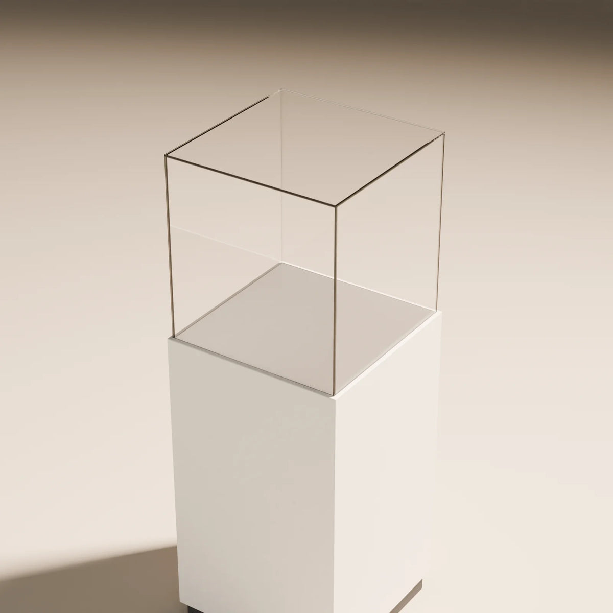 Museum Vitrine, close-up detail render