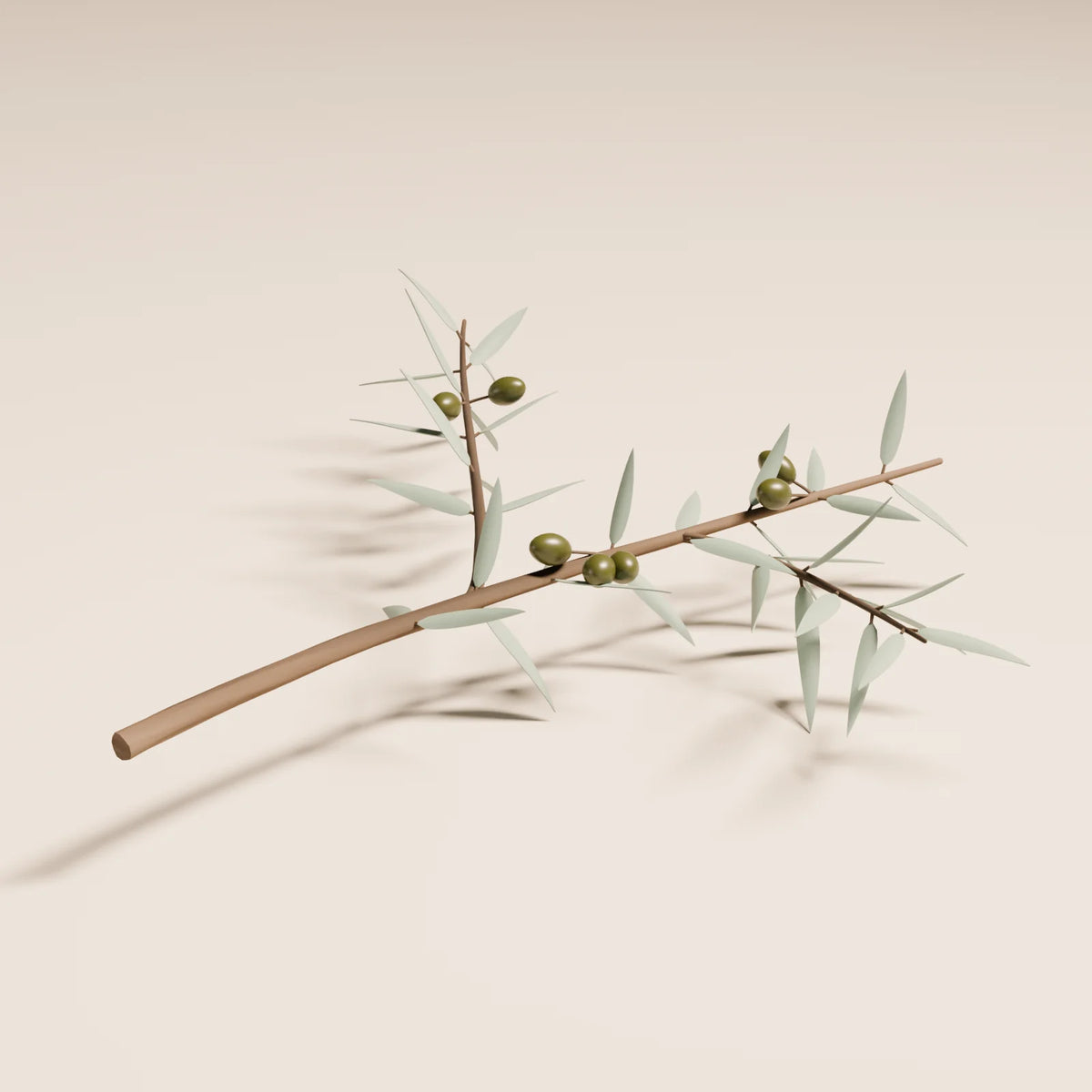 Olive Branch, close-up detail render