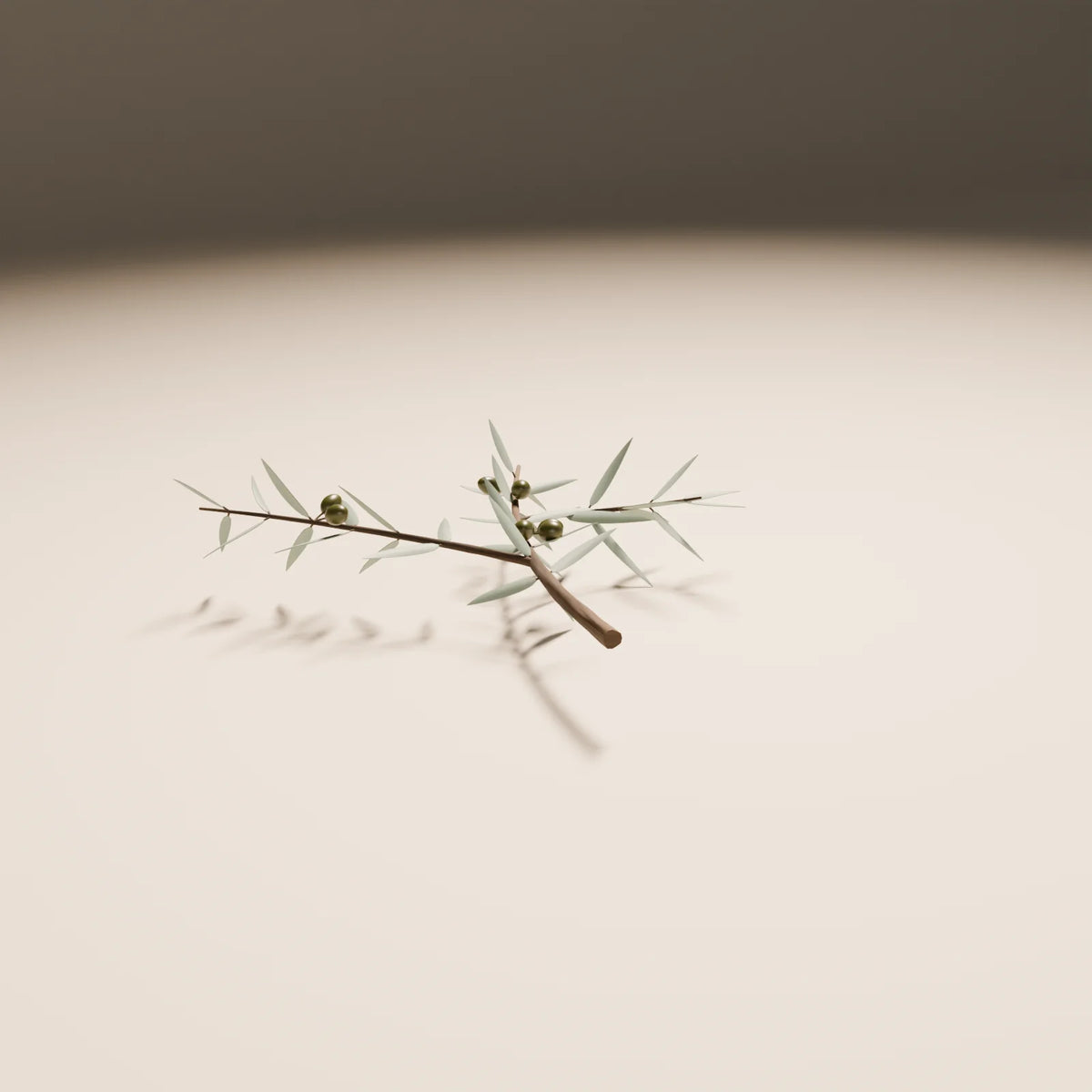 Olive Branch, Still Studio 3D asset, studio render