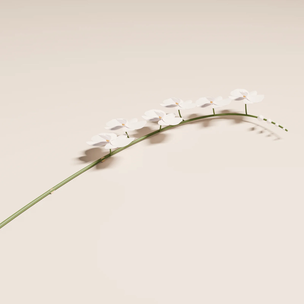 Orchid Stem, close-up detail render