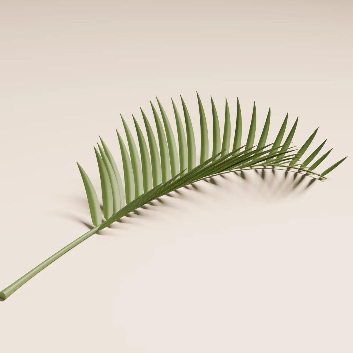 Palm Frond, close-up detail render