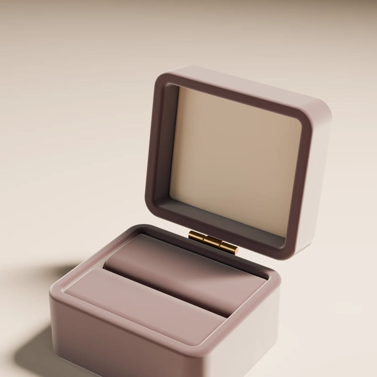Ring Box, close-up detail render