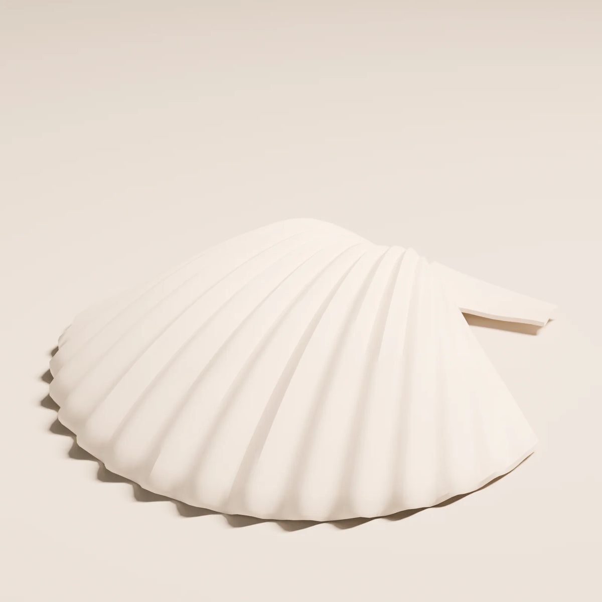 Scallop Shell, close-up detail render