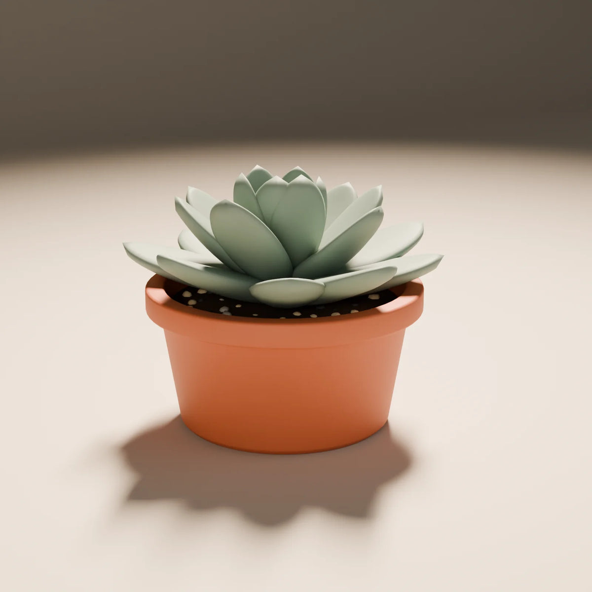 Succulent Rosette, Still Studio 3D asset, studio render