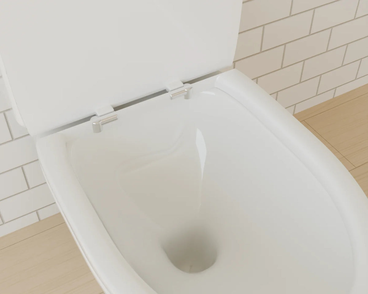 Close-Coupled Toilet, close-up detail render