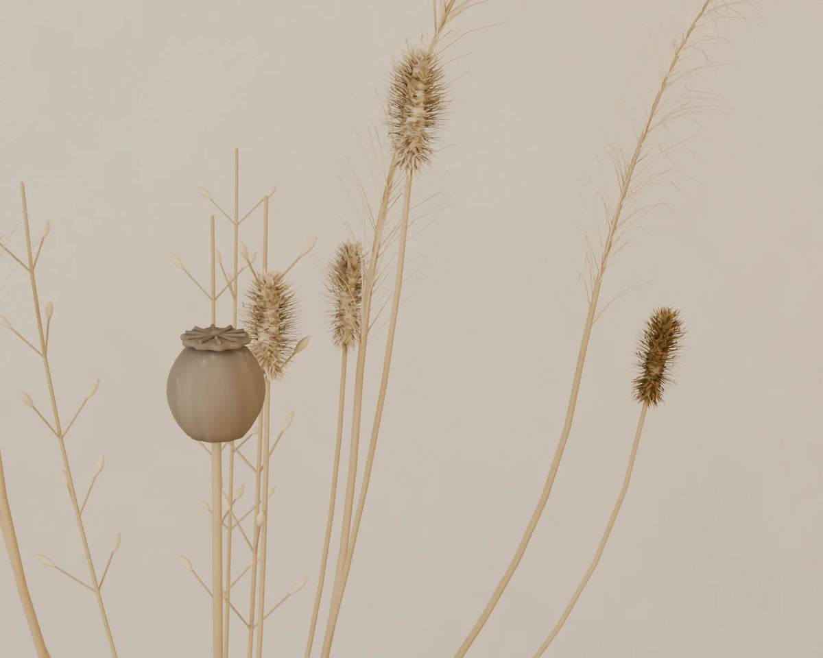 Dried Flower Vase, close-up detail render