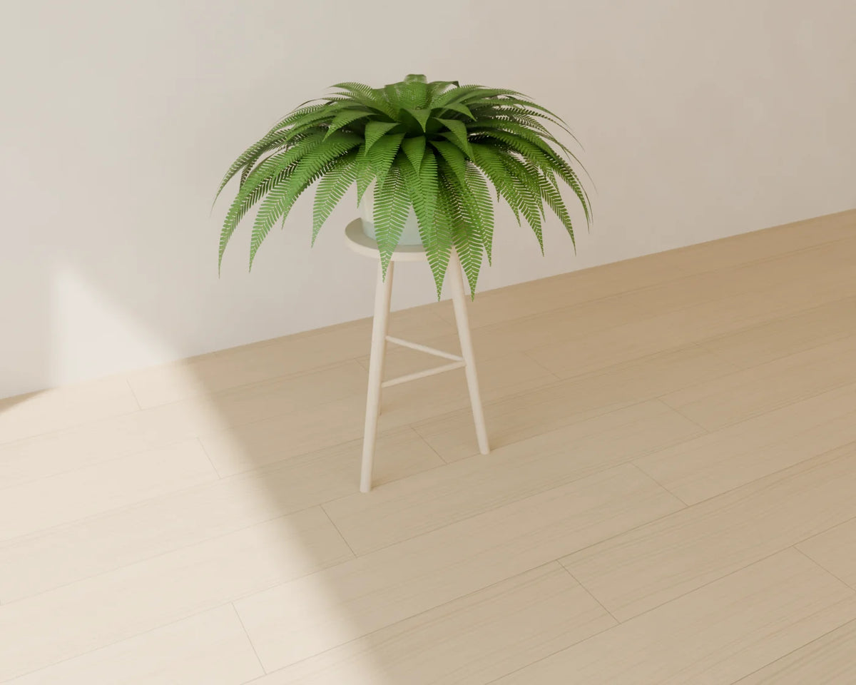 Fern on Plant Stand 3D model