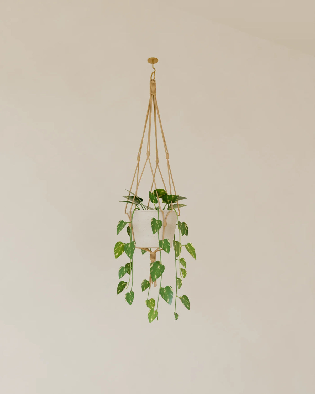 Hanging Macrame Planter 3D model