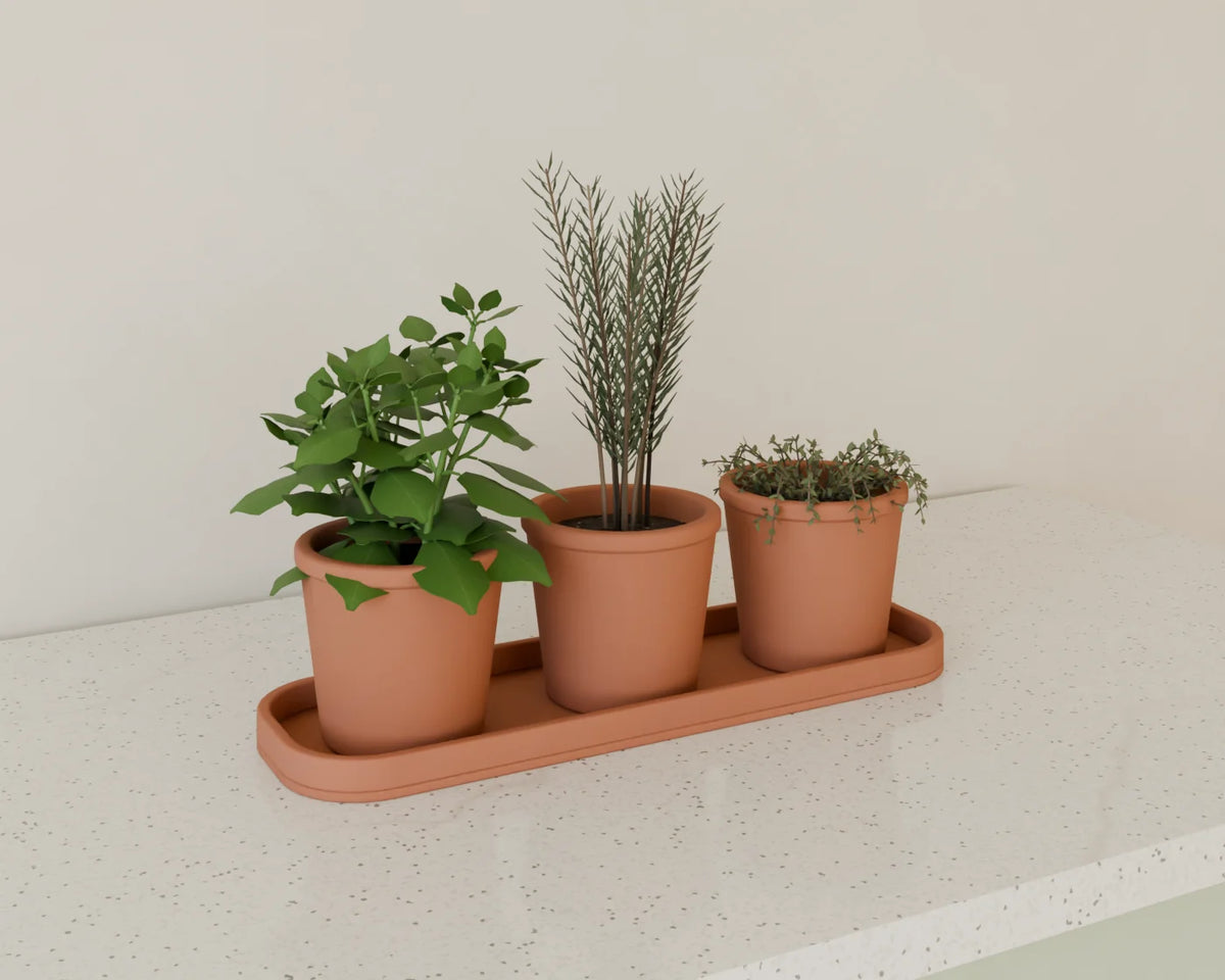 Kitchen Herb Pots, Linden House 3D asset, studio render
