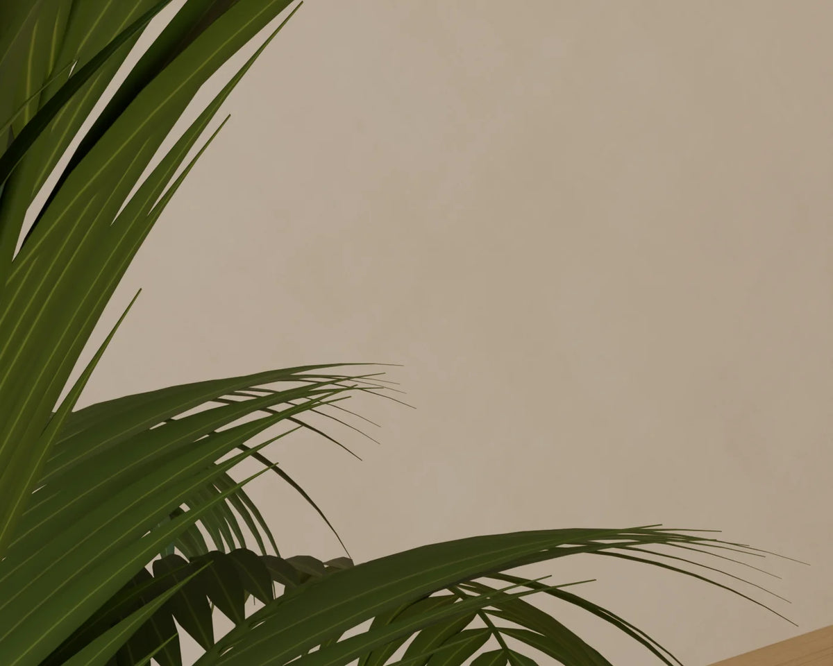 Kentia Palm in Planter, close-up detail render