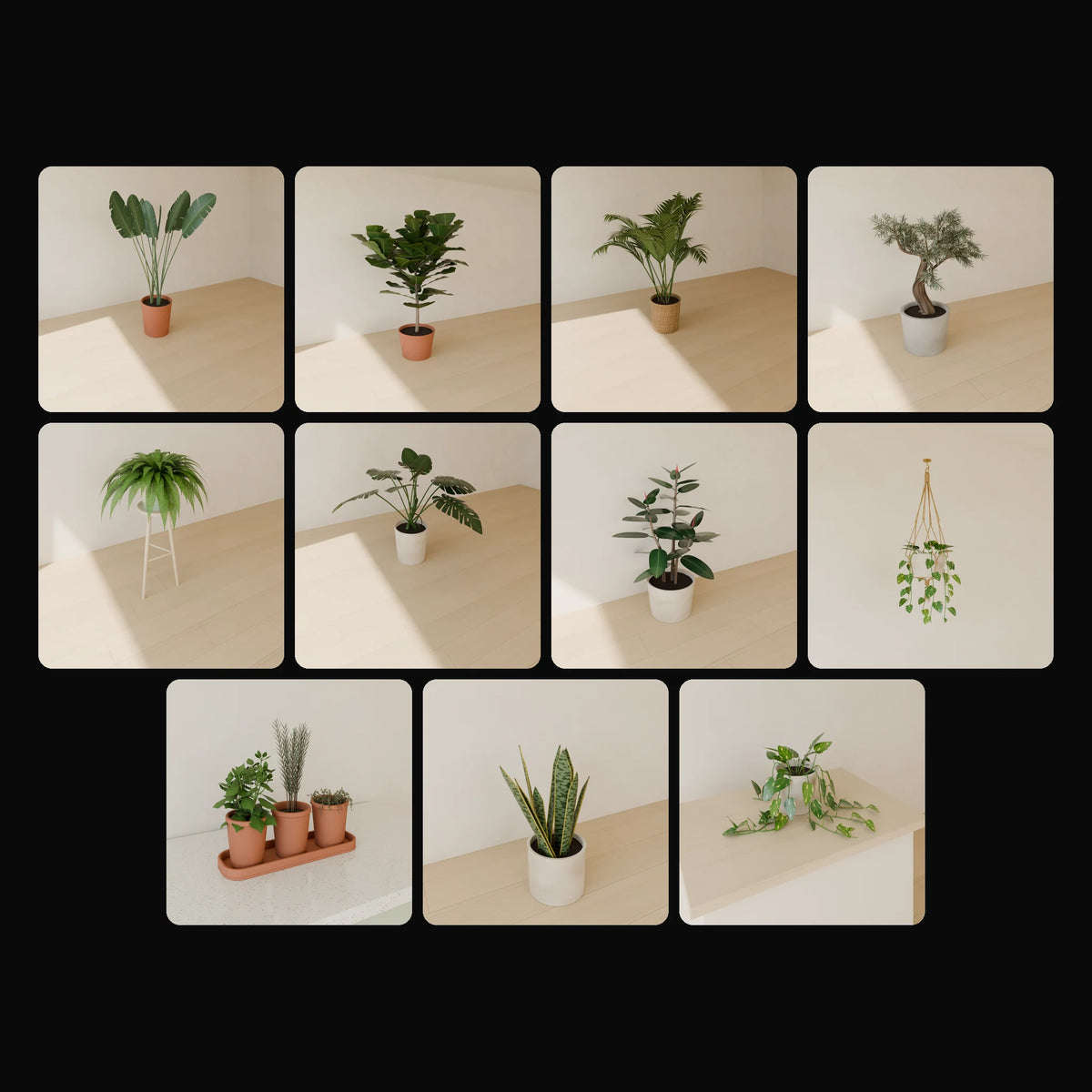 Indoor Plants Kit: studio renders of the 11 included assets