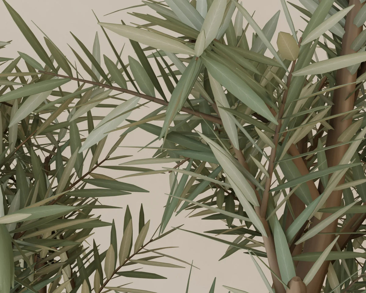 Olive Tree in Planter, close-up detail render