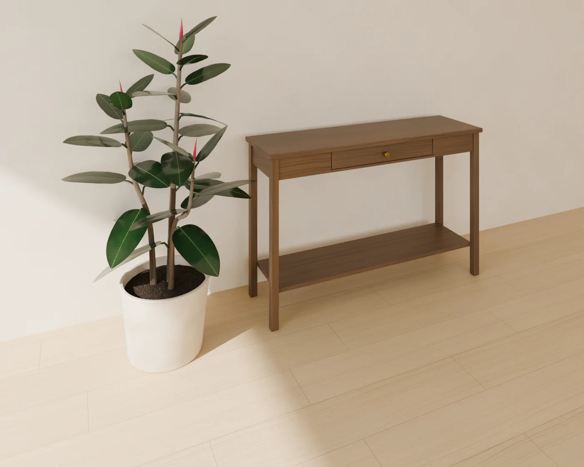 Rubber Plant in Planter styled in a Linden House room with the console table (sold separately)