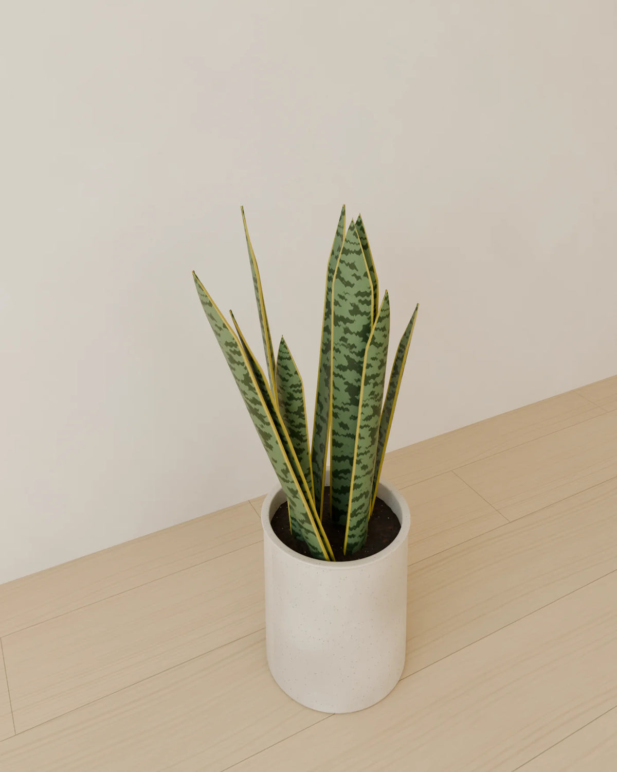 Snake Plant in Planter 3D model