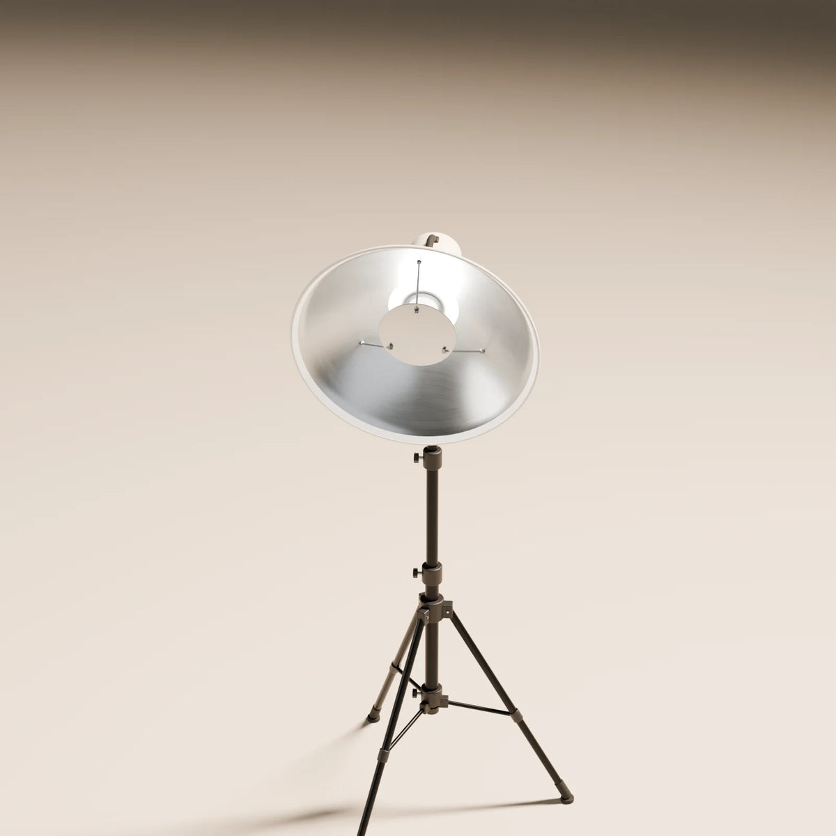 Beauty Dish, close-up detail render