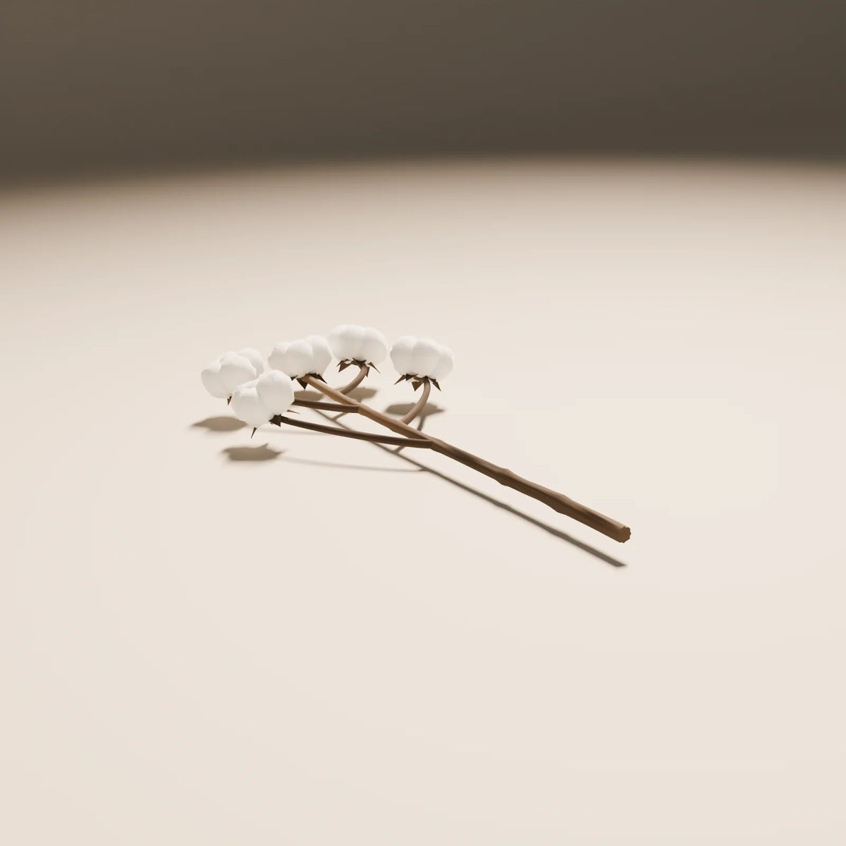 Cotton Stem, Still Studio 3D asset, studio render