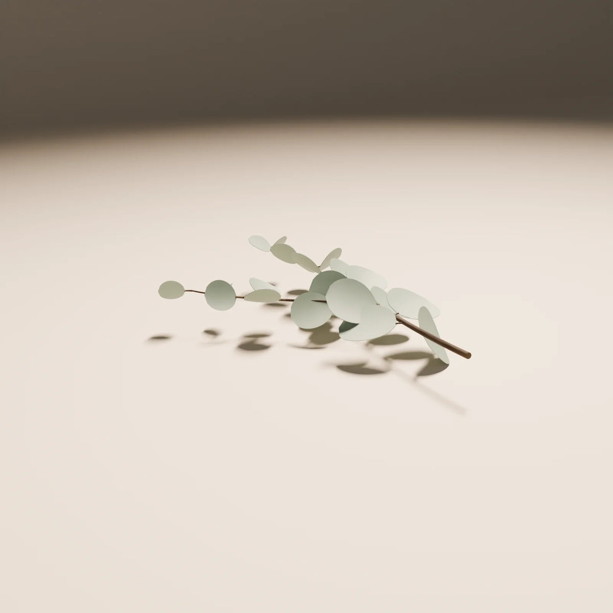 Eucalyptus Branch 3D model