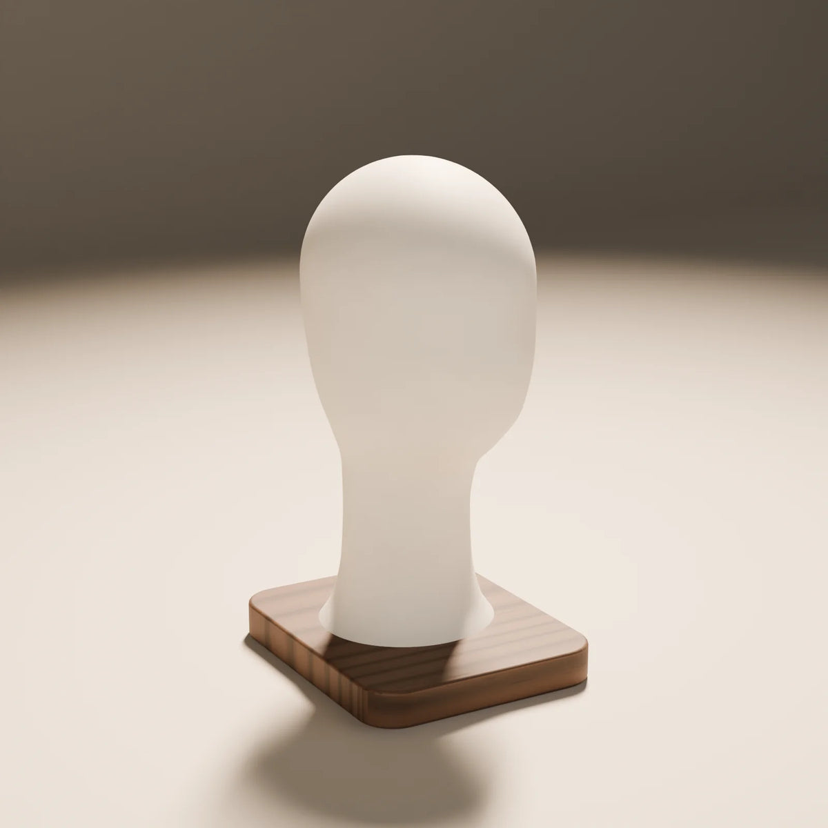 Display Head Form 3D model