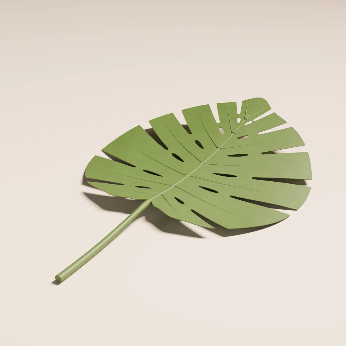Monstera Leaf, close-up detail render