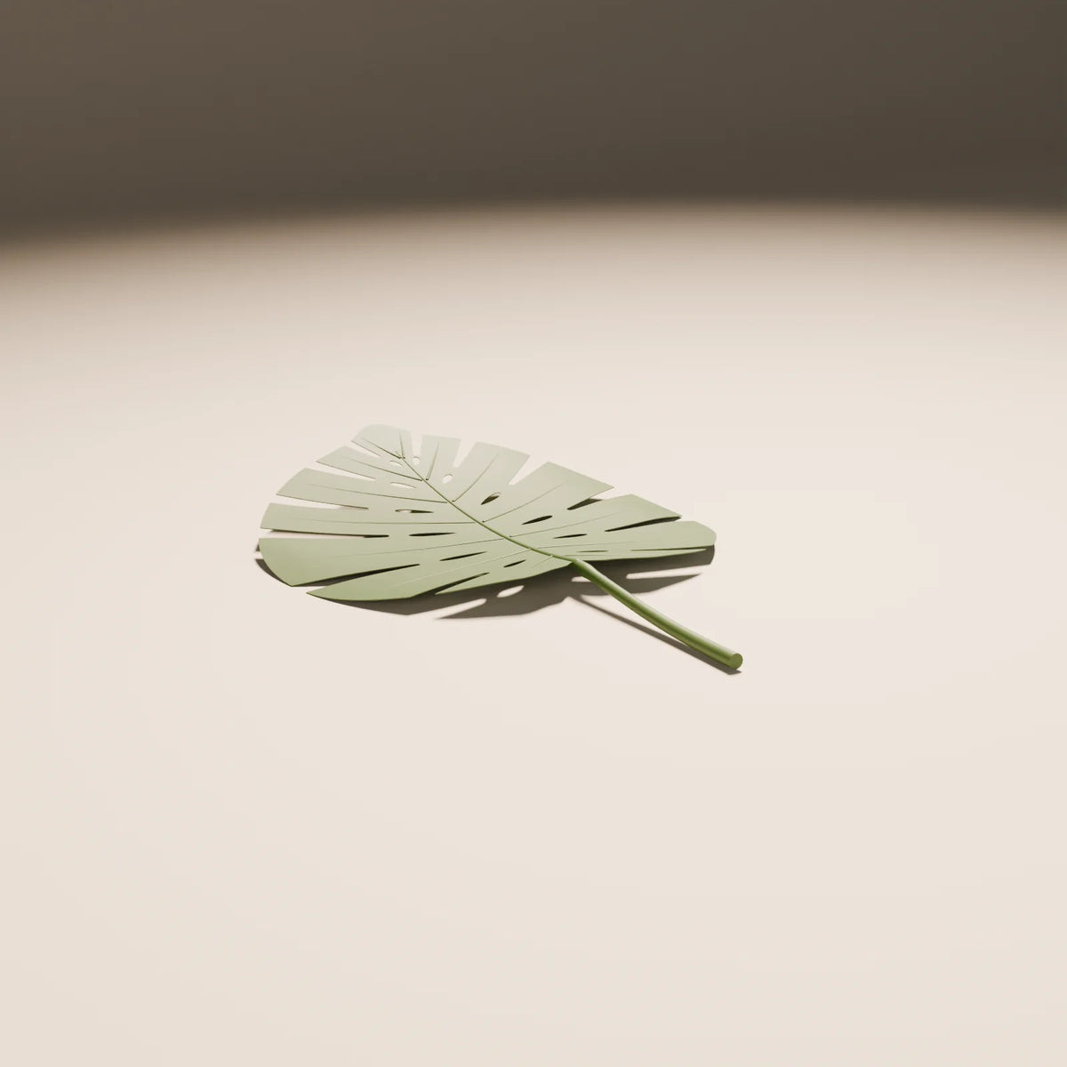 Monstera Leaf, Still Studio 3D asset, studio render