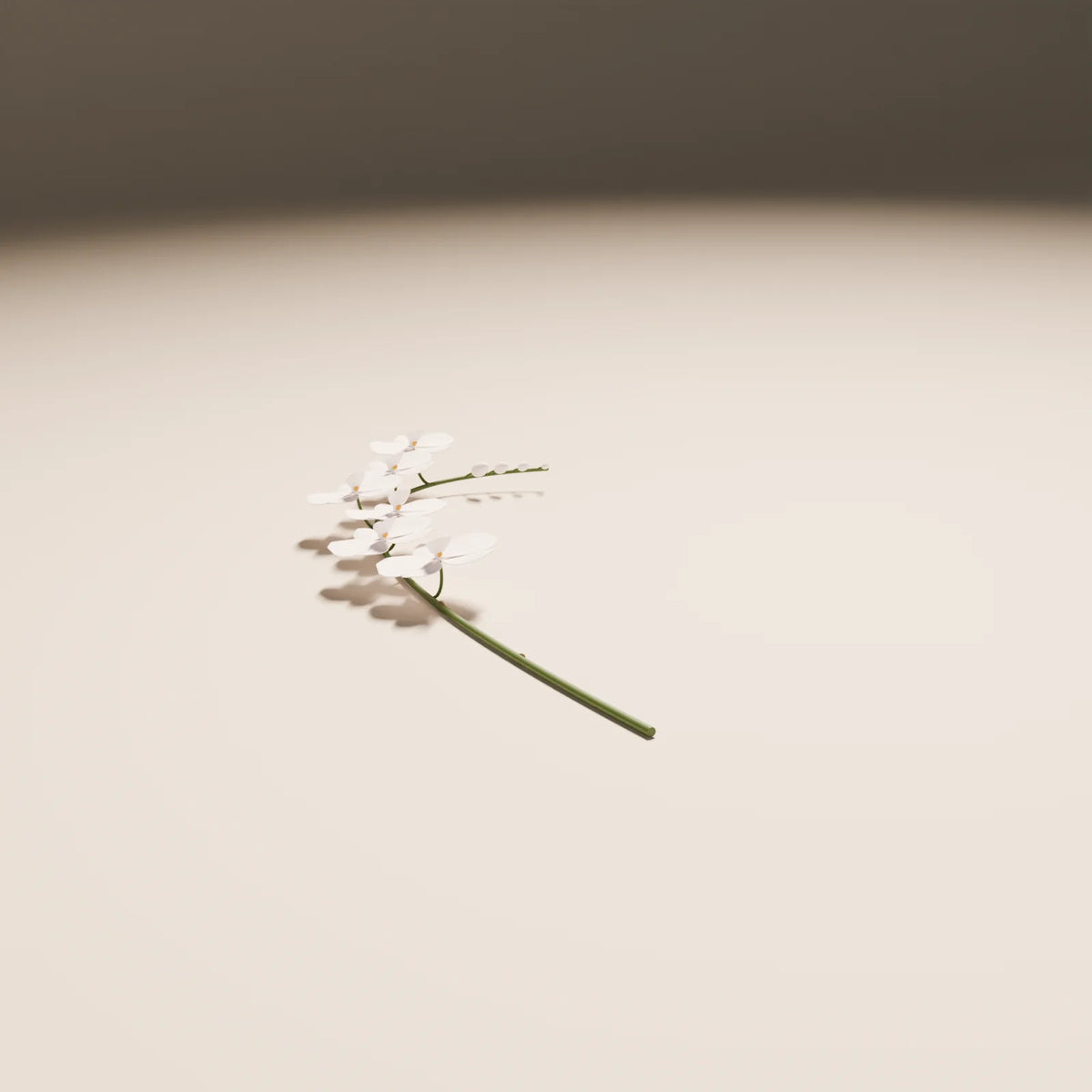 Orchid Stem 3D model