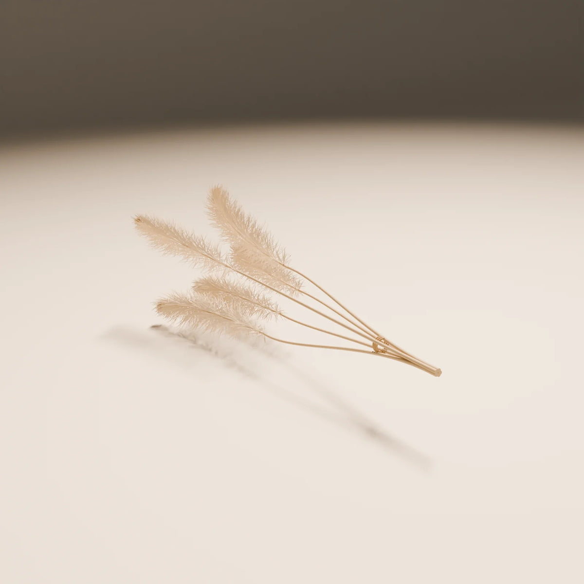 Pampas Stems 3D model