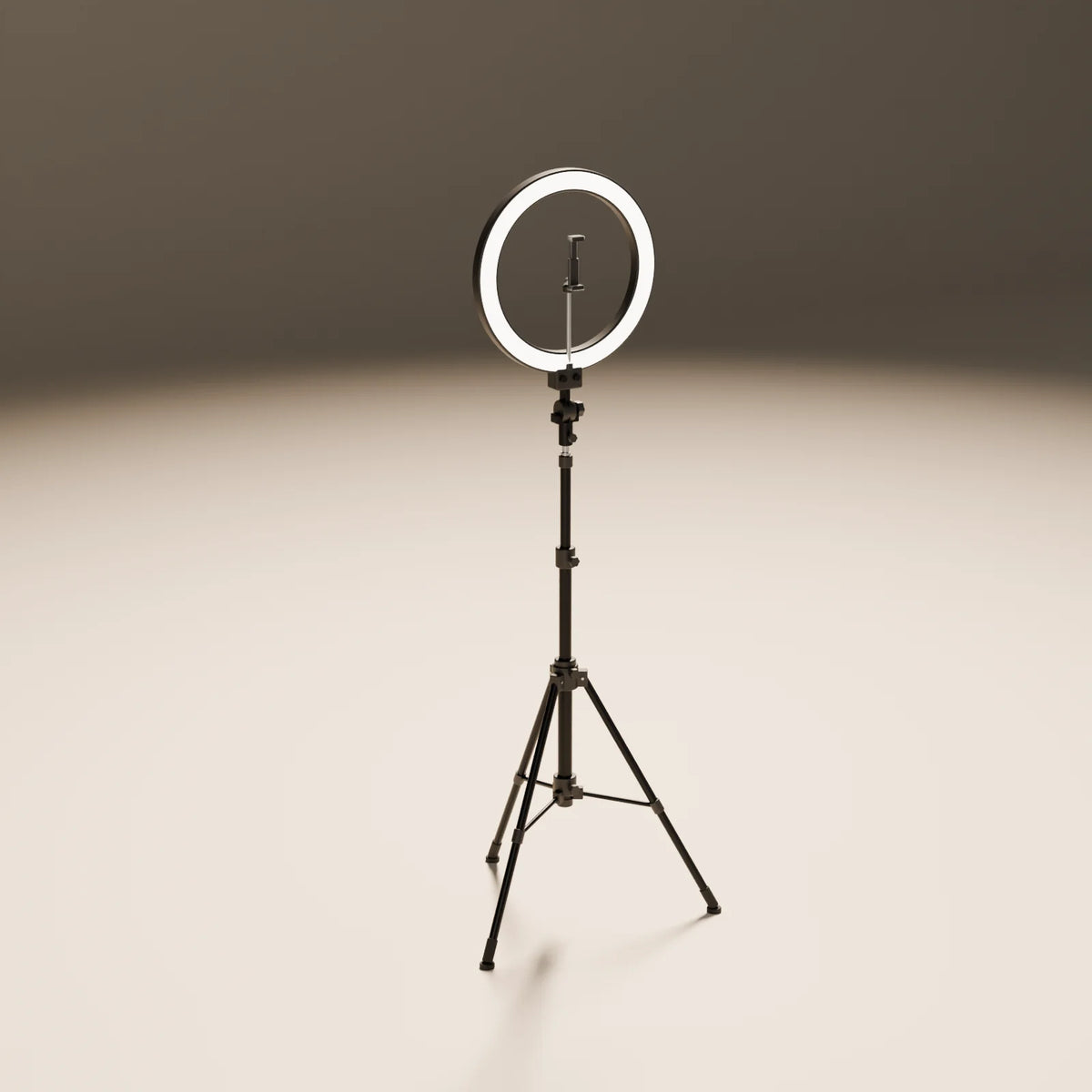 Ring Light 3D model
