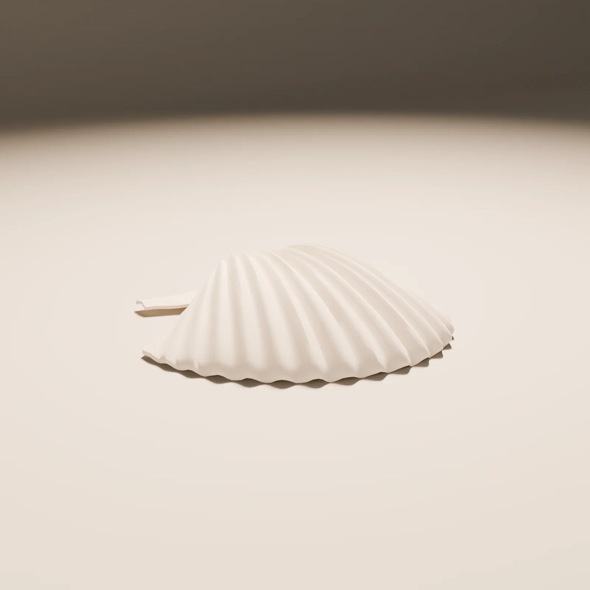 Scallop Shell, Still Studio 3D asset, studio render
