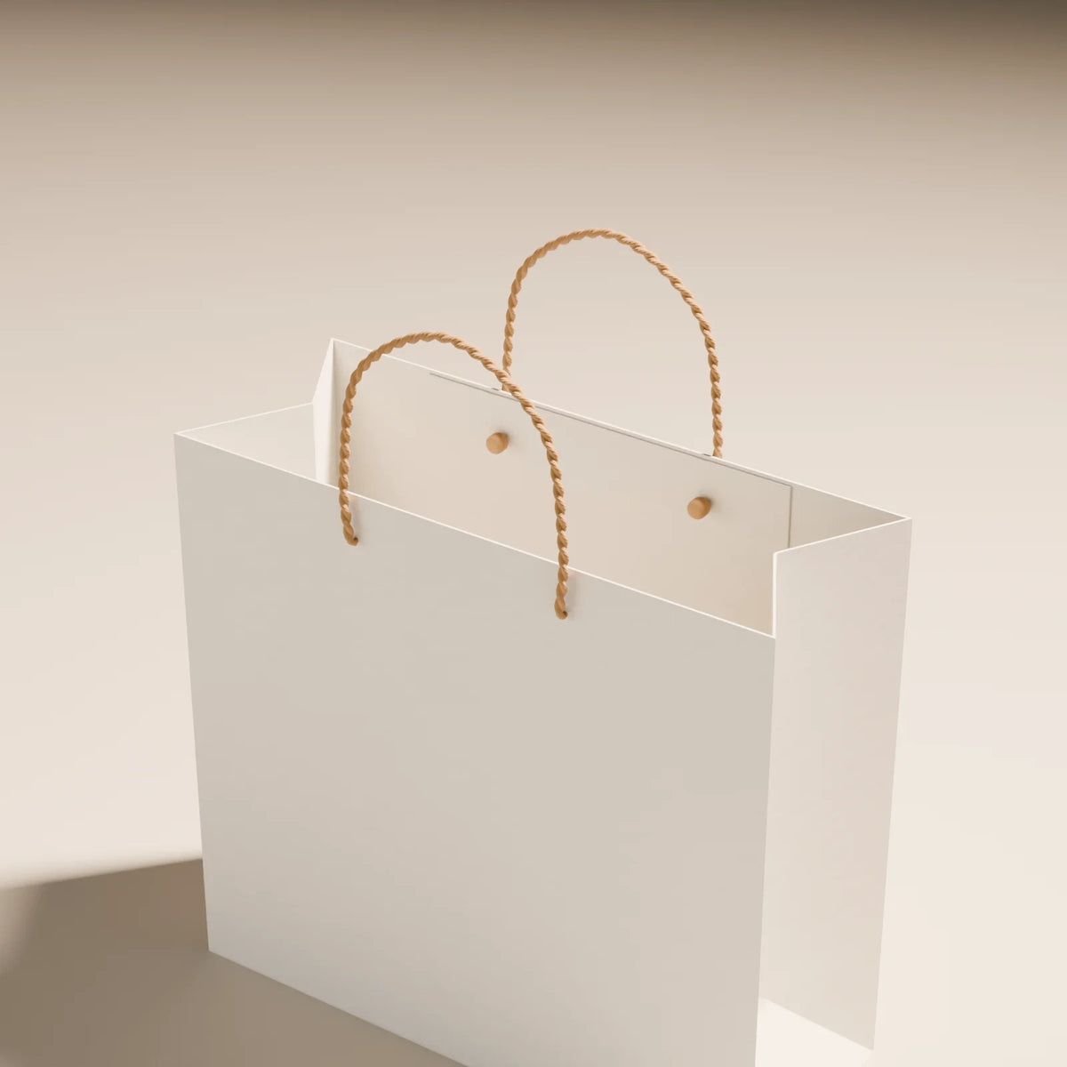 Paper Shopping Bag, close-up detail render