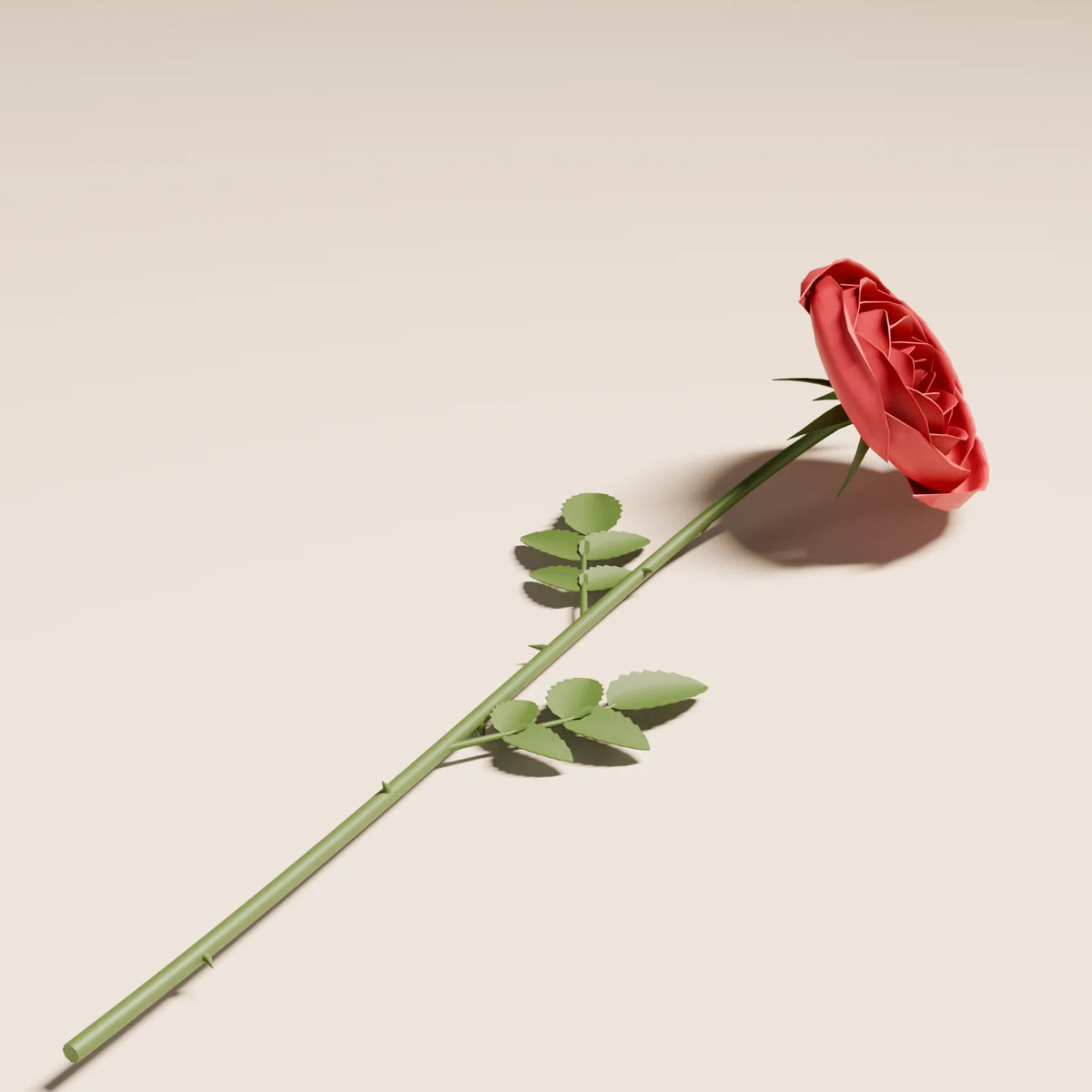 Single Rose, close-up detail render