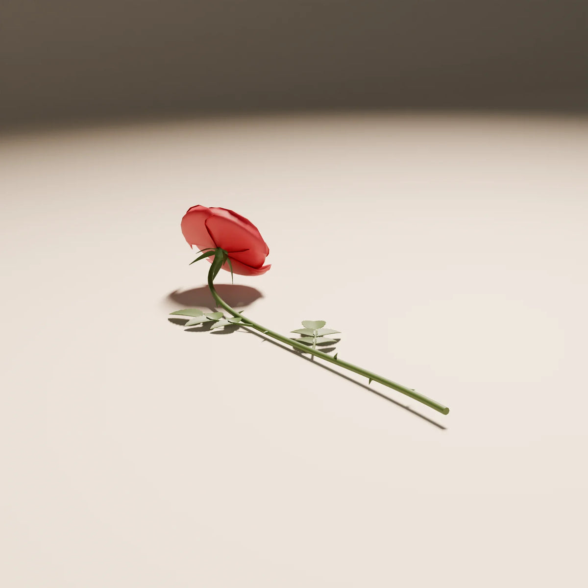 Single Rose, Still Studio 3D asset, studio render