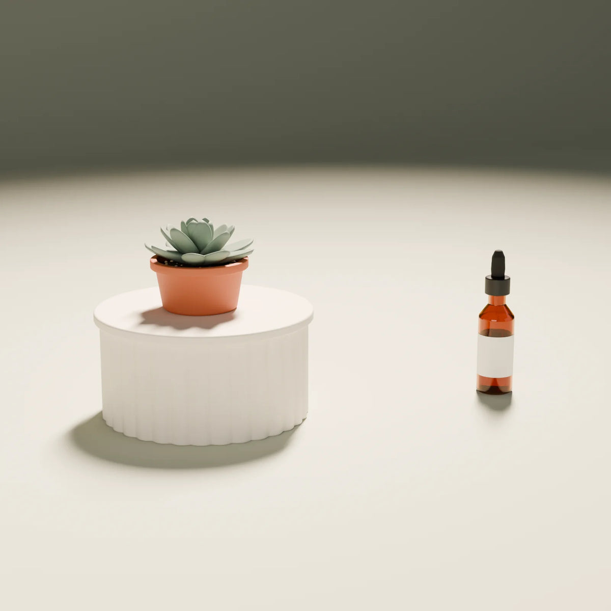 Succulent Rosette styled in a Still Studio set with the ribbed podium and dropper bottle (sold separately)
