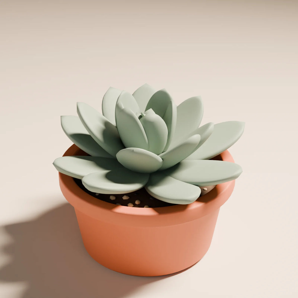 Succulent Rosette, close-up detail render